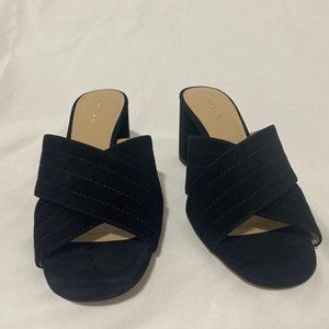 Ann Taylor Honor Suede Mule Sandal SIZE 6